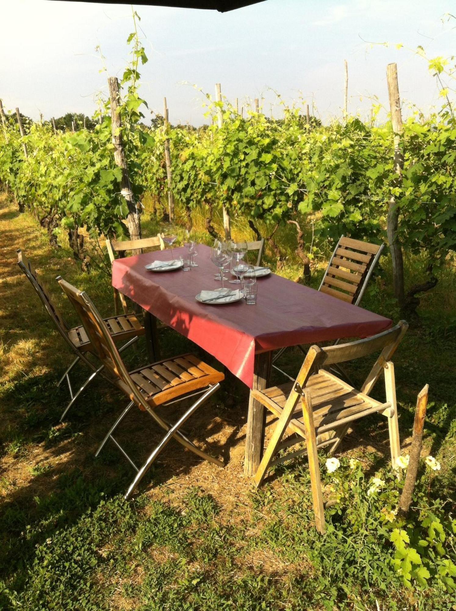 Cascina La Maddalena Bed & Wine Villa Rocca Grimalda Kültér fotó