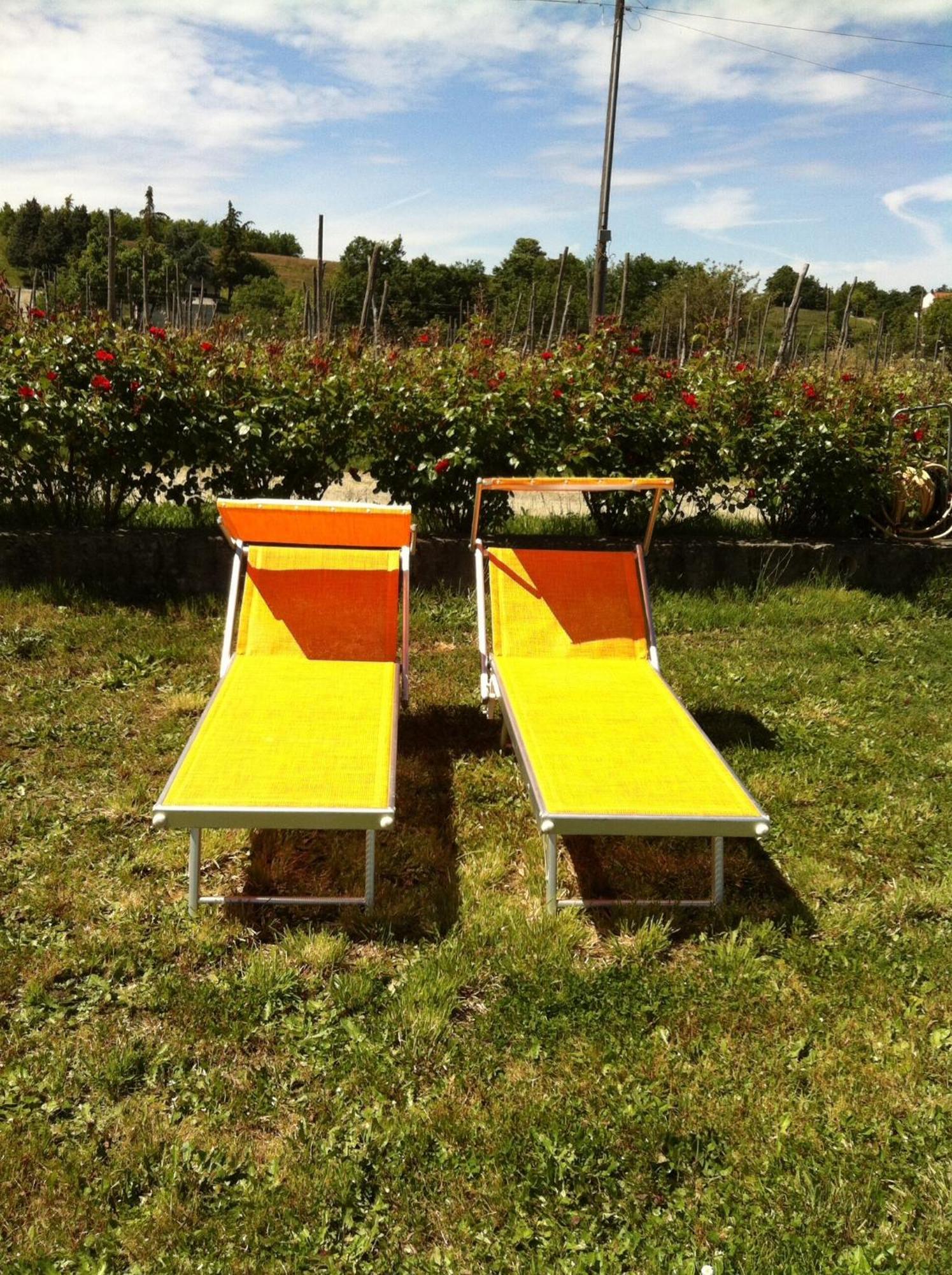 Cascina La Maddalena Bed & Wine Villa Rocca Grimalda Kültér fotó