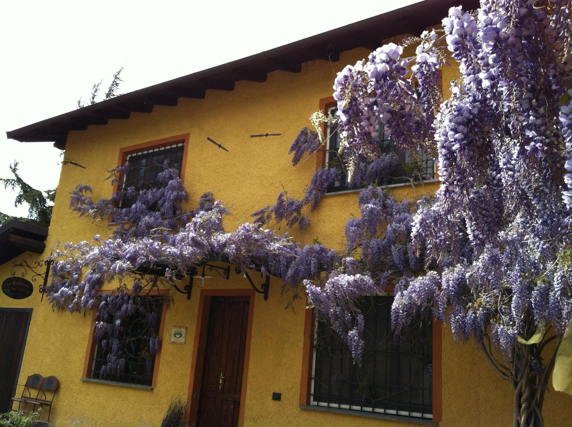 Cascina La Maddalena Bed & Wine Villa Rocca Grimalda Kültér fotó