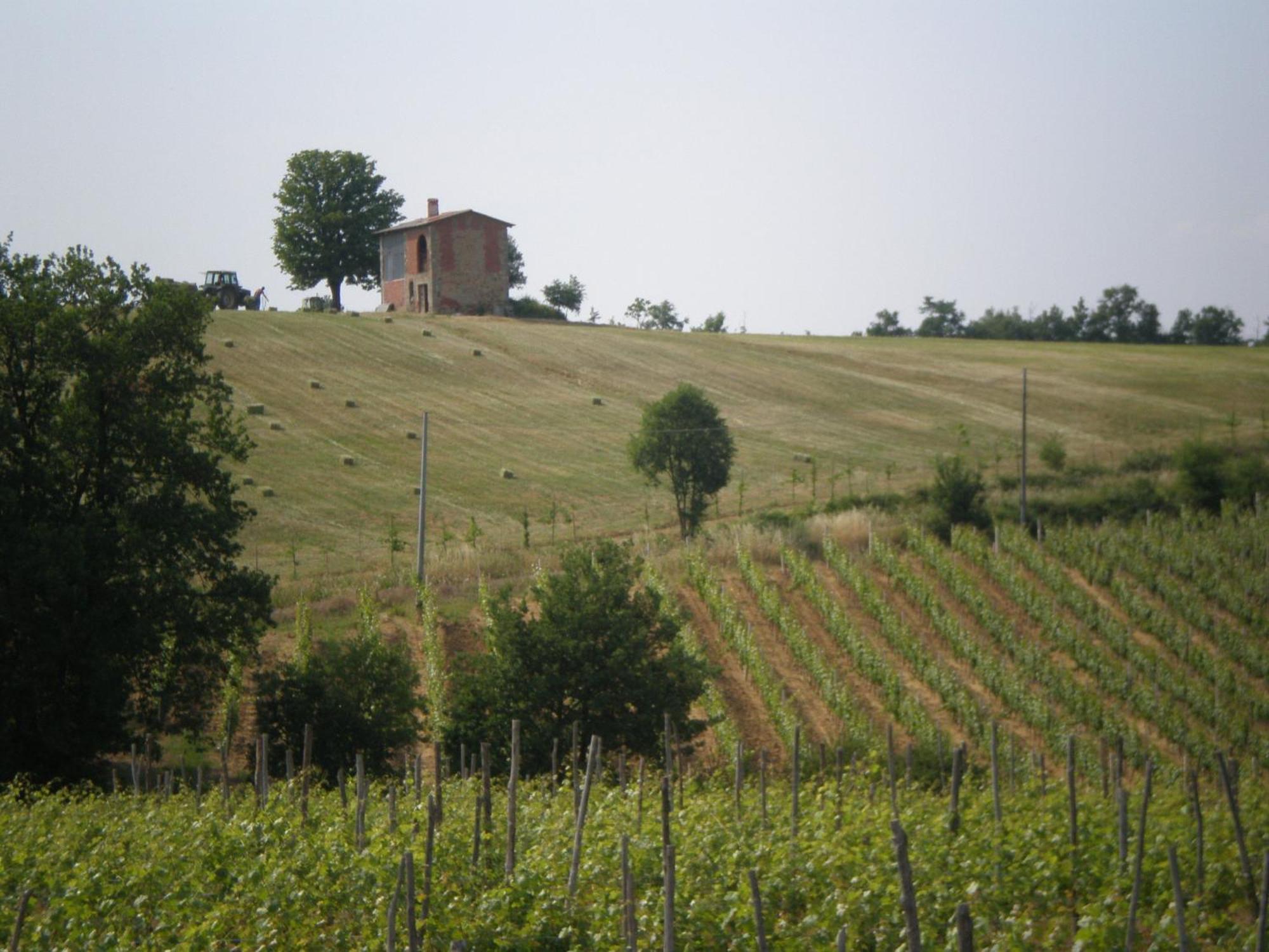 Cascina La Maddalena Bed & Wine Villa Rocca Grimalda Kültér fotó