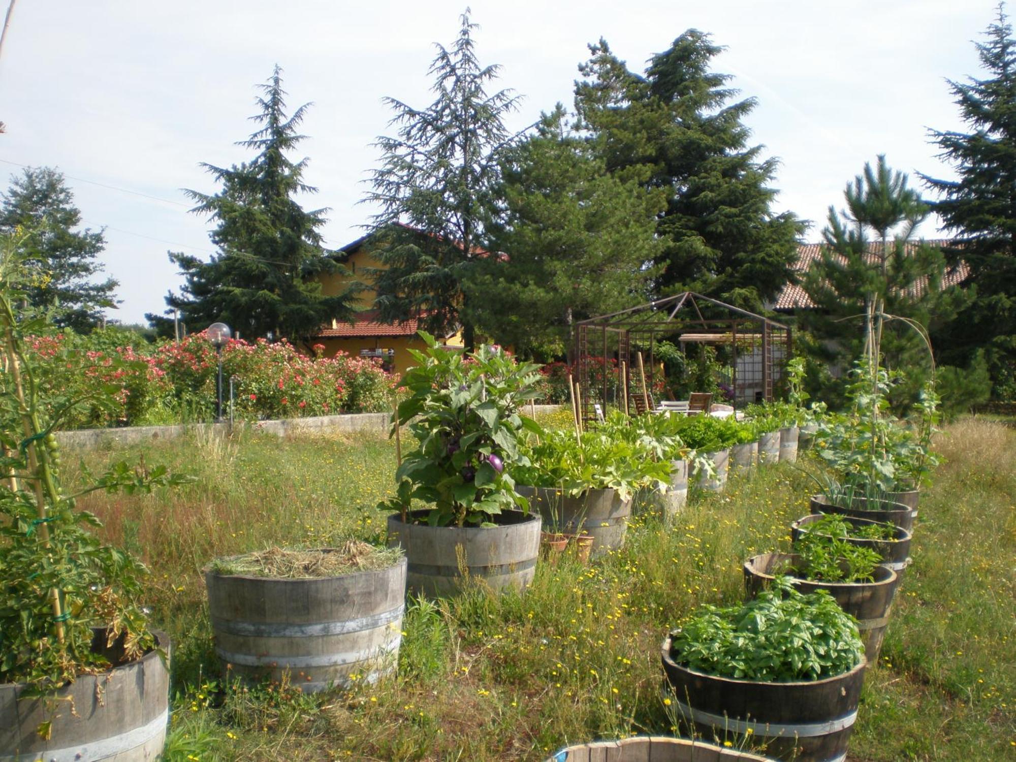 Cascina La Maddalena Bed & Wine Villa Rocca Grimalda Kültér fotó