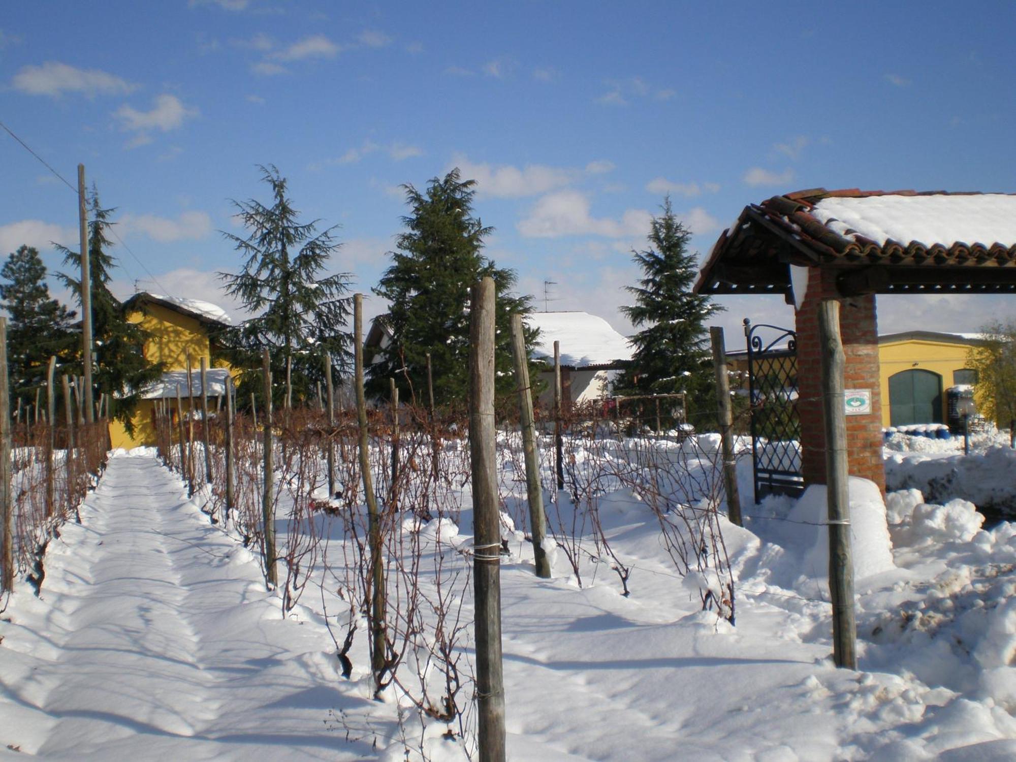 Cascina La Maddalena Bed & Wine Villa Rocca Grimalda Kültér fotó